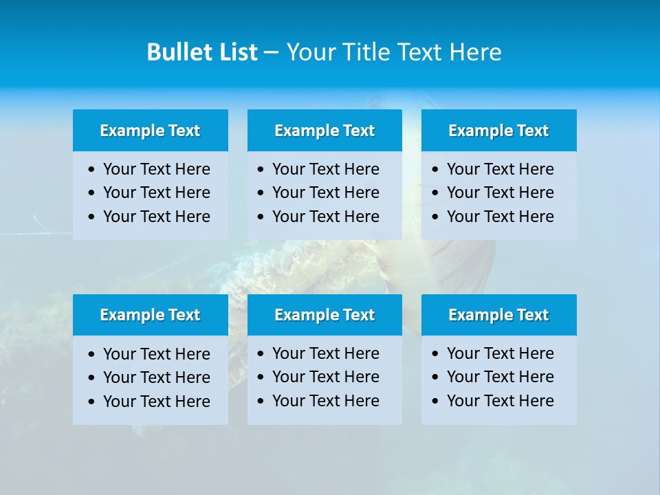 Chrysaora Hysoscella Toxic Poisonous PowerPoint Template