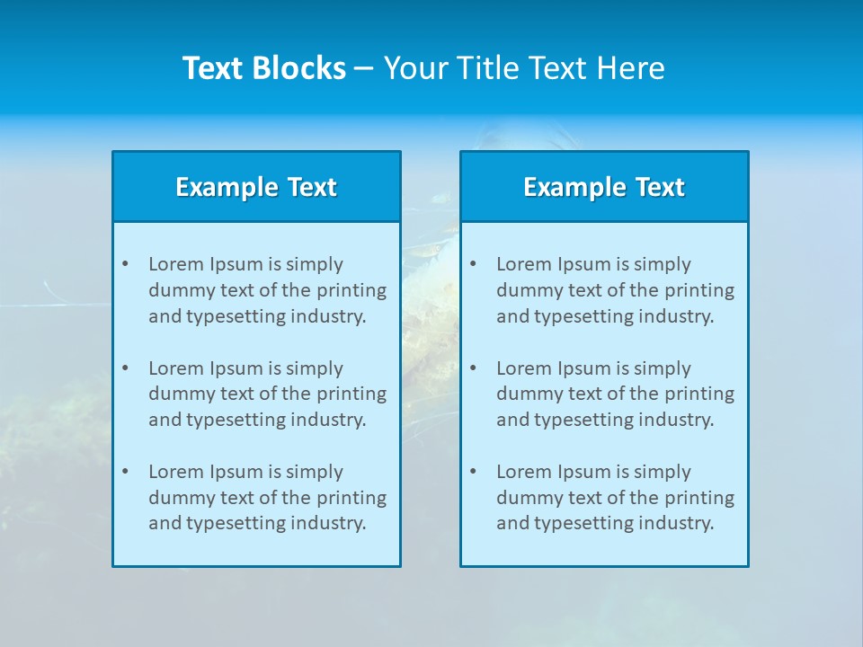 Chrysaora Hysoscella Toxic Poisonous PowerPoint Template