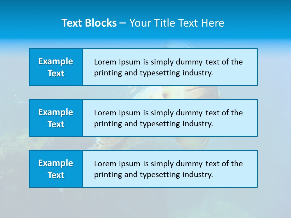 Chrysaora Hysoscella Toxic Poisonous PowerPoint Template