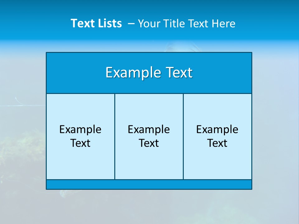 Chrysaora Hysoscella Toxic Poisonous PowerPoint Template
