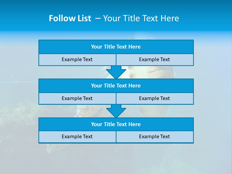 Chrysaora Hysoscella Toxic Poisonous PowerPoint Template