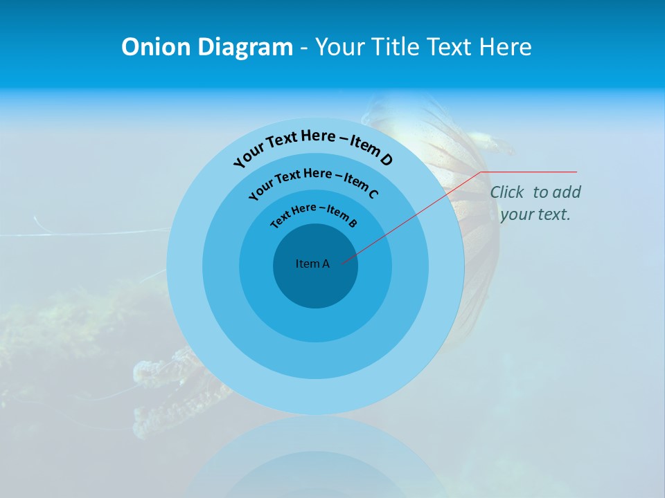 Chrysaora Hysoscella Toxic Poisonous PowerPoint Template
