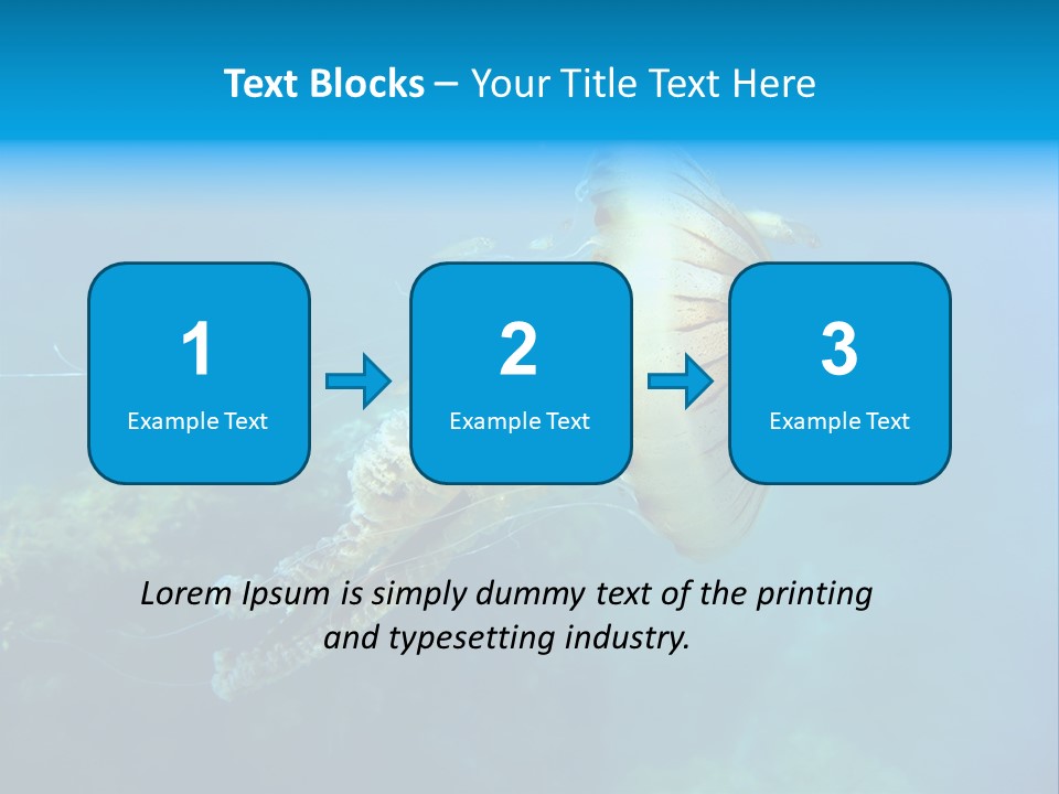 Chrysaora Hysoscella Toxic Poisonous PowerPoint Template