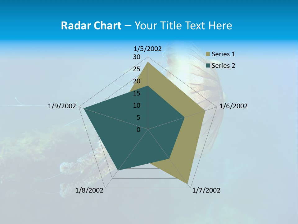Chrysaora Hysoscella Toxic Poisonous PowerPoint Template