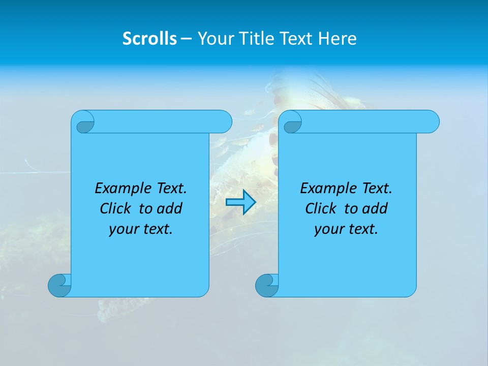 Chrysaora Hysoscella Toxic Poisonous PowerPoint Template