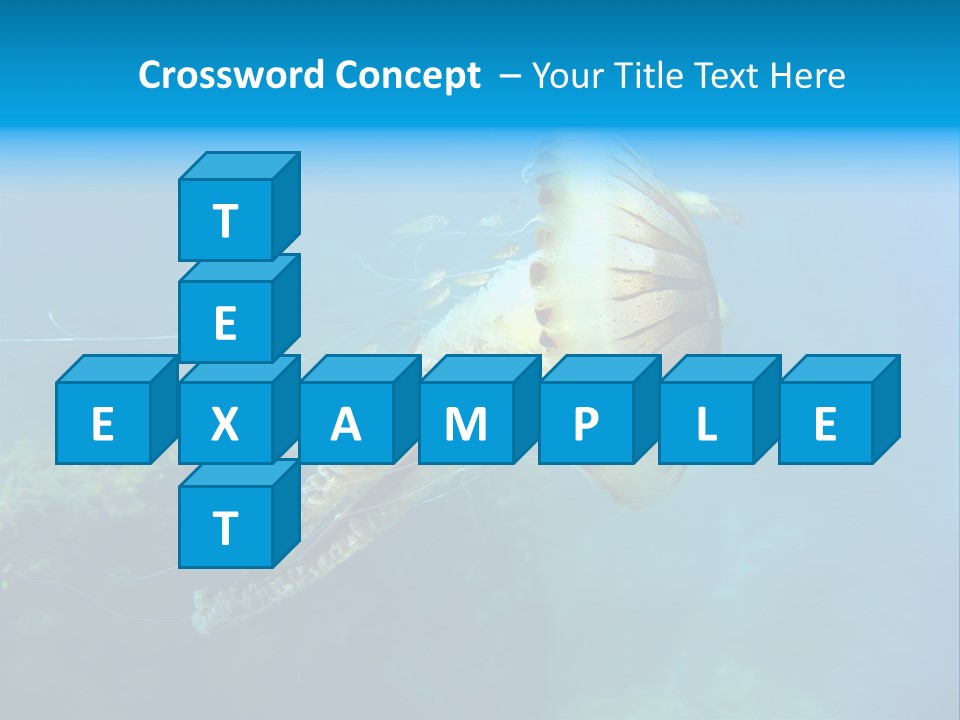 Chrysaora Hysoscella Toxic Poisonous PowerPoint Template