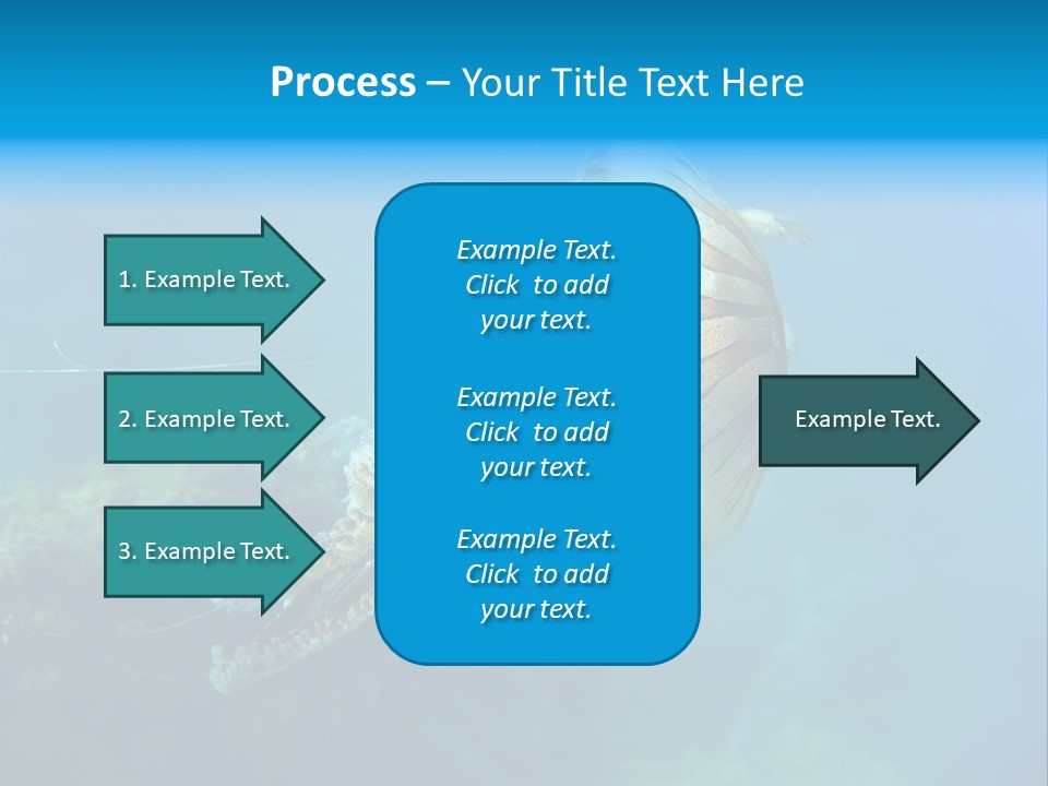 Chrysaora Hysoscella Toxic Poisonous PowerPoint Template