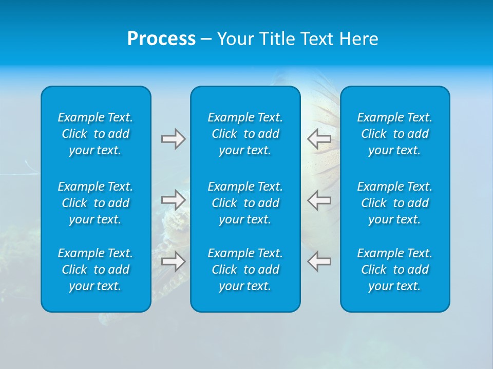 Chrysaora Hysoscella Toxic Poisonous PowerPoint Template