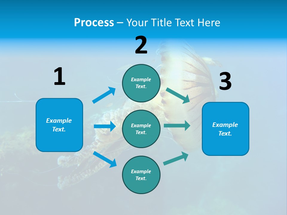 Chrysaora Hysoscella Toxic Poisonous PowerPoint Template
