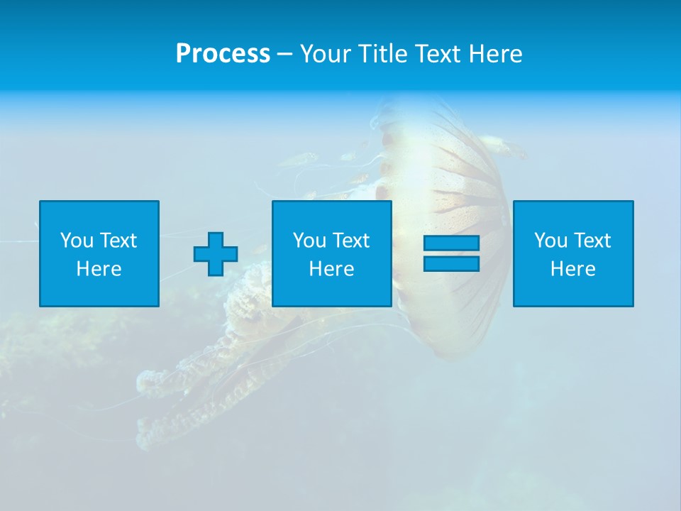 Chrysaora Hysoscella Toxic Poisonous PowerPoint Template