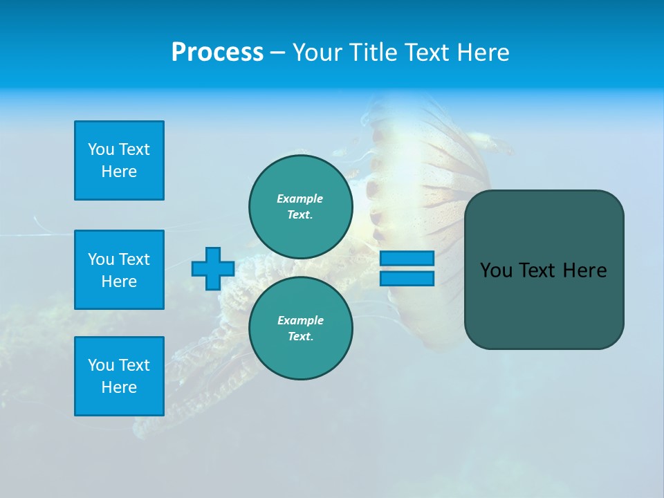 Chrysaora Hysoscella Toxic Poisonous PowerPoint Template