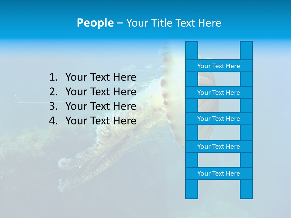 Chrysaora Hysoscella Toxic Poisonous PowerPoint Template