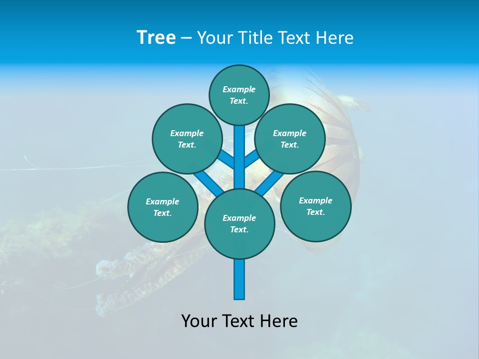 Chrysaora Hysoscella Toxic Poisonous PowerPoint Template