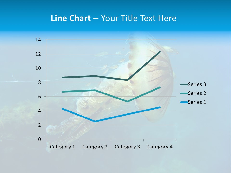 Chrysaora Hysoscella Toxic Poisonous PowerPoint Template