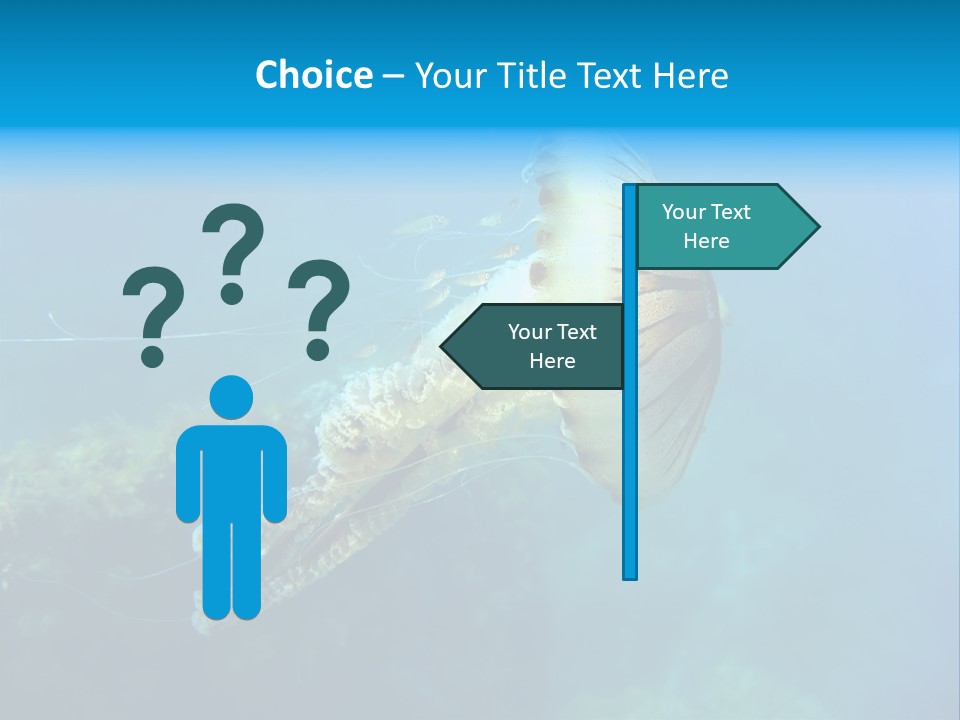 Chrysaora Hysoscella Toxic Poisonous PowerPoint Template