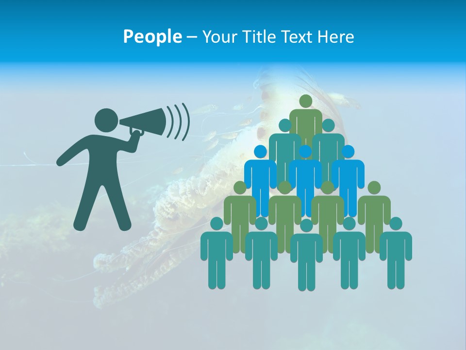 Chrysaora Hysoscella Toxic Poisonous PowerPoint Template