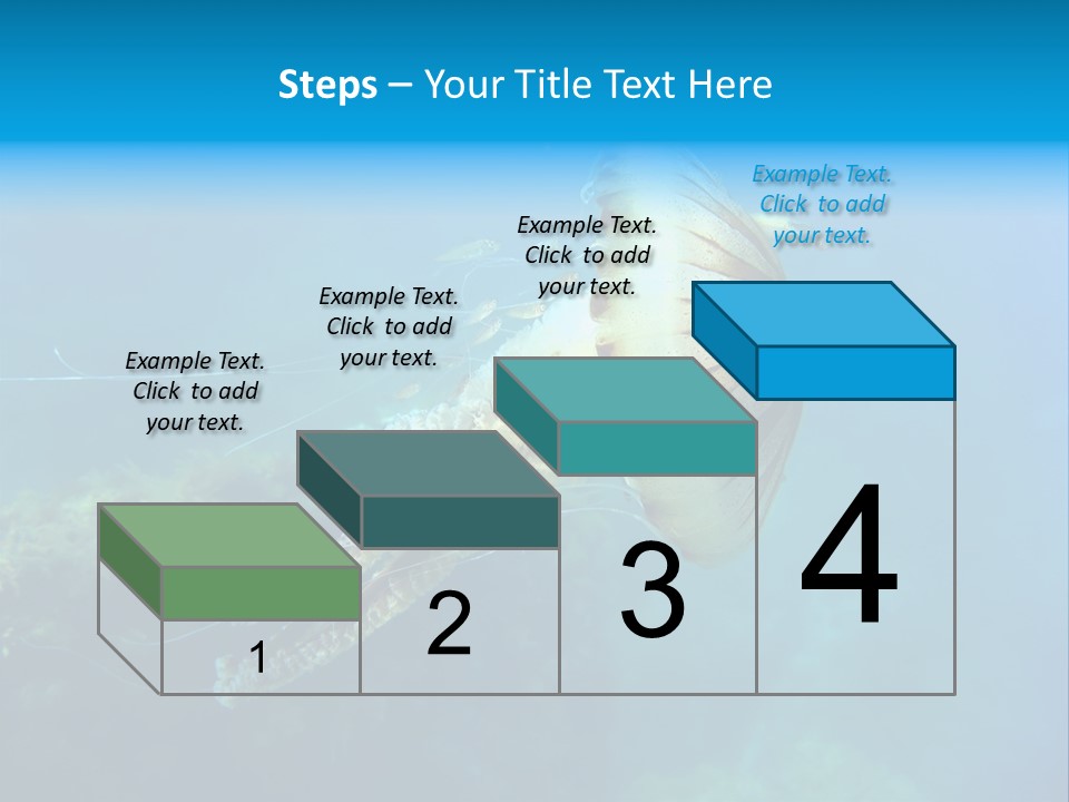 Chrysaora Hysoscella Toxic Poisonous PowerPoint Template
