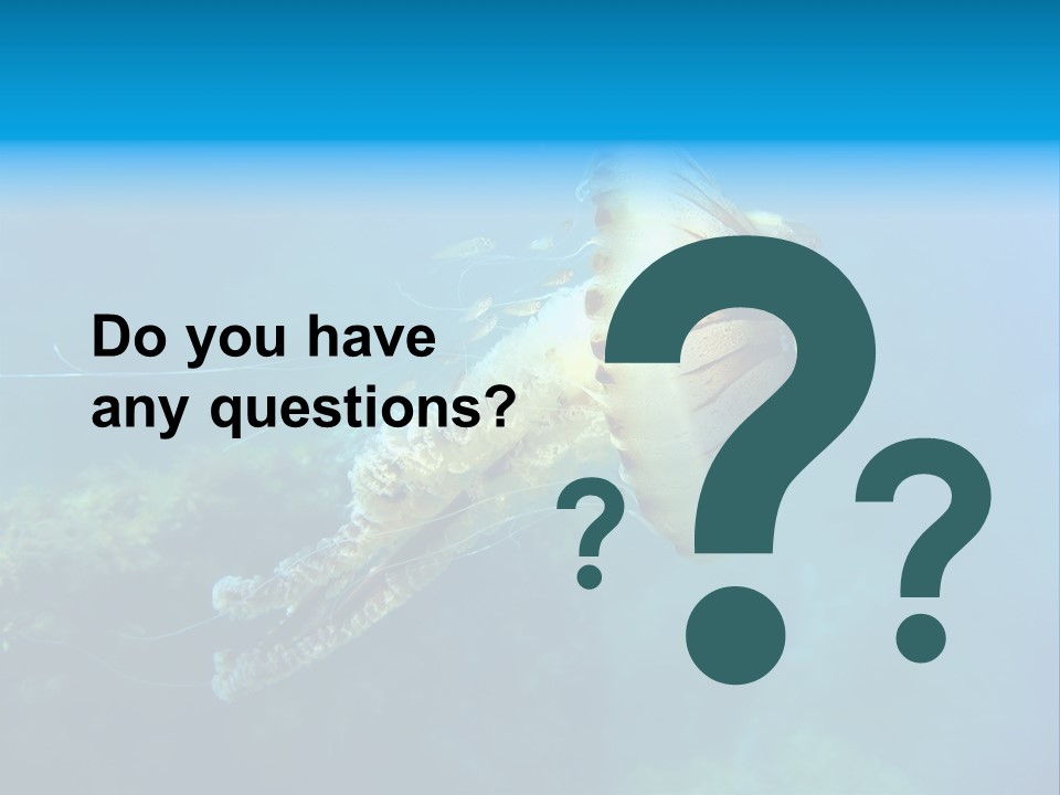 Chrysaora Hysoscella Toxic Poisonous PowerPoint Template