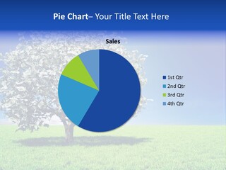 A Money Tree In A Field With A Blue Sky In The Background PowerPoint Template