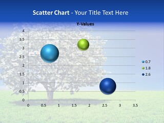 A Money Tree In A Field With A Blue Sky In The Background PowerPoint Template