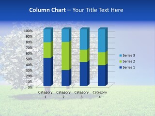 A Money Tree In A Field With A Blue Sky In The Background PowerPoint Template