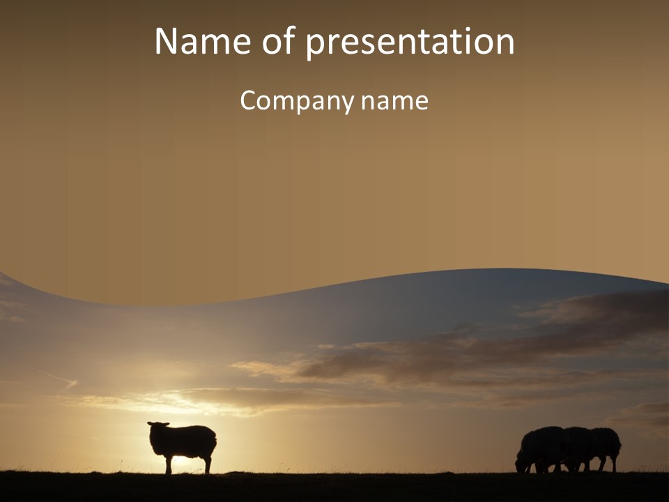 A Group Of Sheep Standing On Top Of A Grass Covered Field PowerPoint Template