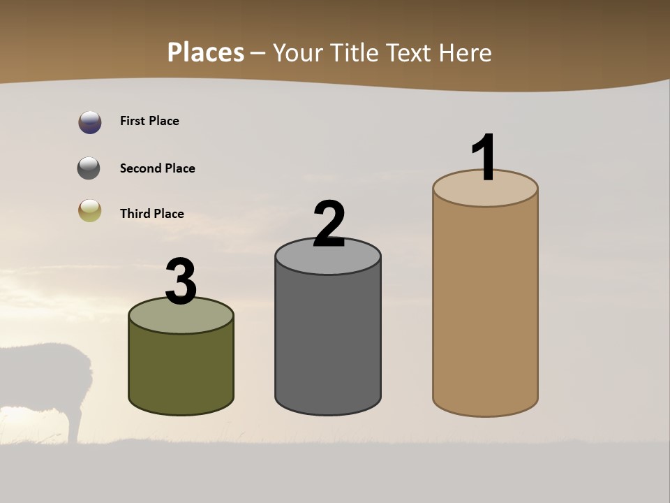 A Group Of Sheep Standing On Top Of A Grass Covered Field PowerPoint Template
