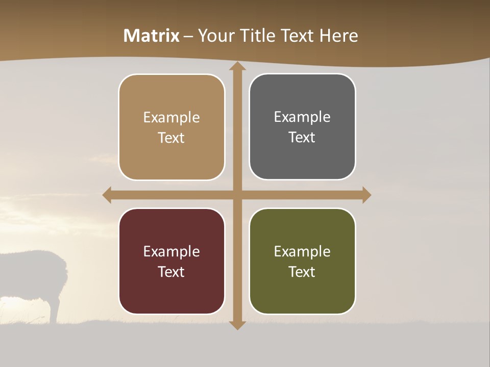 A Group Of Sheep Standing On Top Of A Grass Covered Field PowerPoint Template