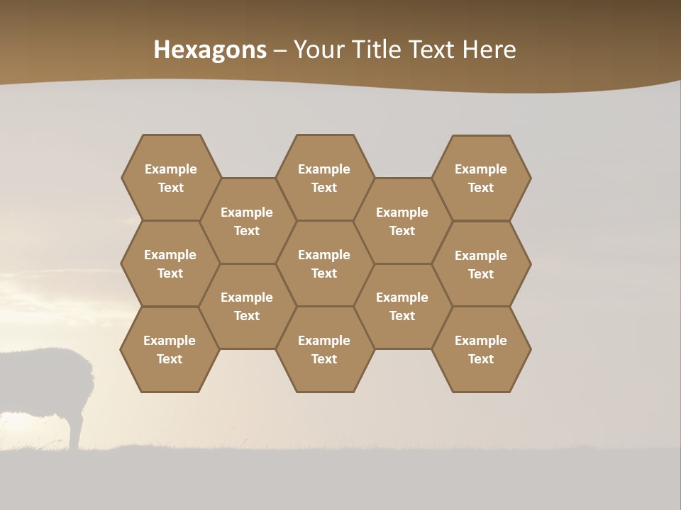 A Group Of Sheep Standing On Top Of A Grass Covered Field PowerPoint Template