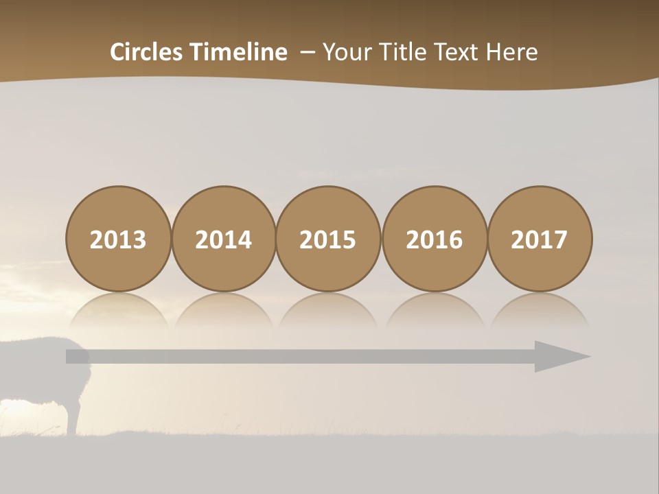 A Group Of Sheep Standing On Top Of A Grass Covered Field PowerPoint Template