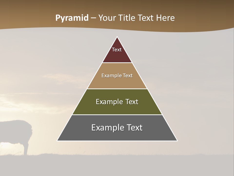 A Group Of Sheep Standing On Top Of A Grass Covered Field PowerPoint Template