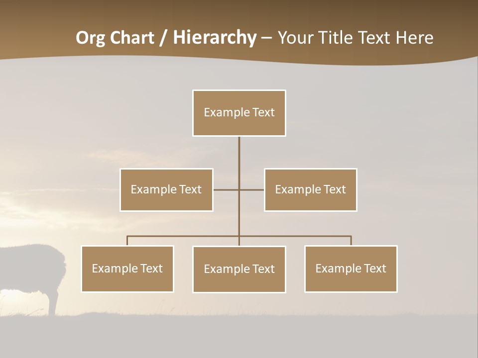 A Group Of Sheep Standing On Top Of A Grass Covered Field PowerPoint Template