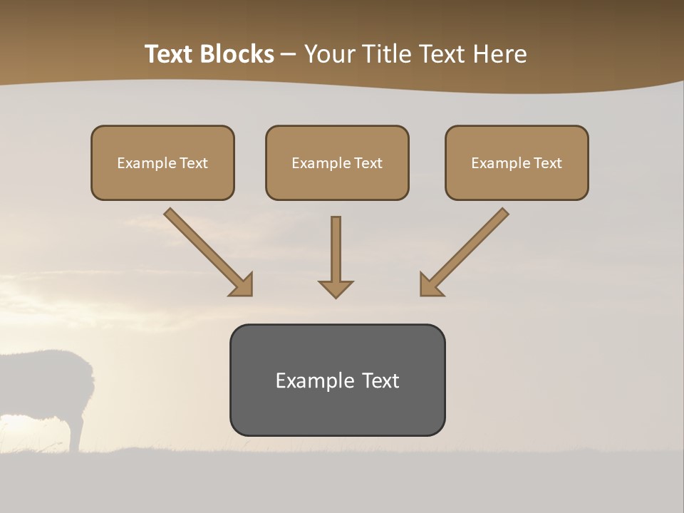 A Group Of Sheep Standing On Top Of A Grass Covered Field PowerPoint Template