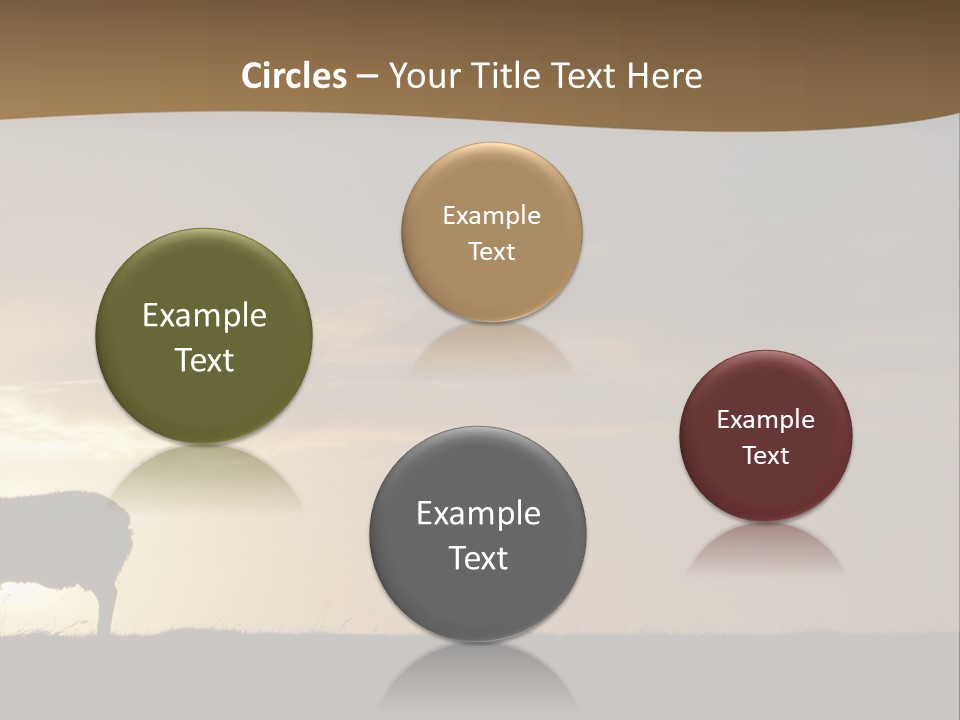 A Group Of Sheep Standing On Top Of A Grass Covered Field PowerPoint Template