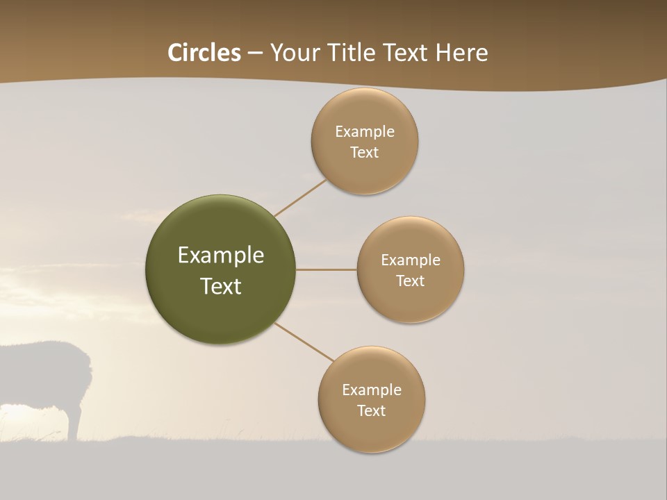 A Group Of Sheep Standing On Top Of A Grass Covered Field PowerPoint Template
