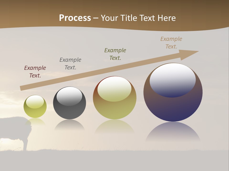A Group Of Sheep Standing On Top Of A Grass Covered Field PowerPoint Template
