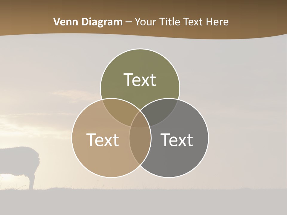 A Group Of Sheep Standing On Top Of A Grass Covered Field PowerPoint Template