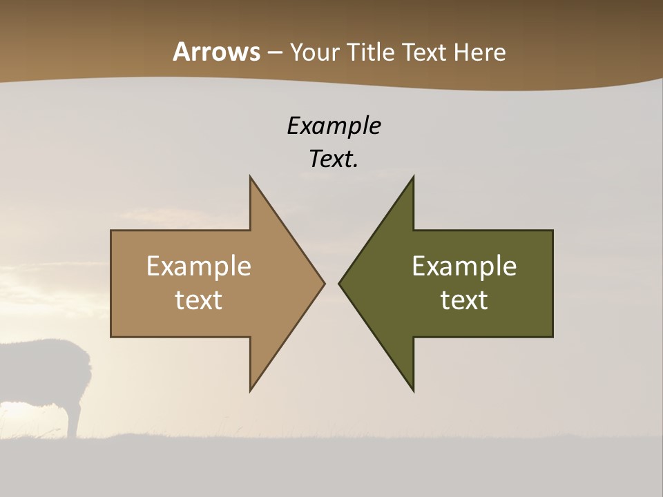 A Group Of Sheep Standing On Top Of A Grass Covered Field PowerPoint Template