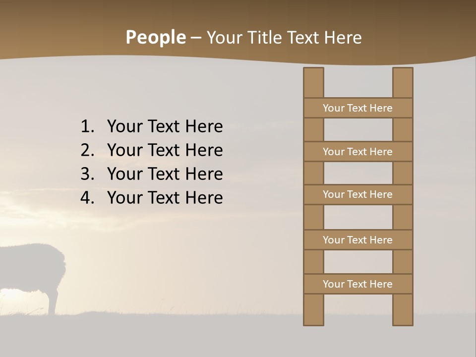 A Group Of Sheep Standing On Top Of A Grass Covered Field PowerPoint Template