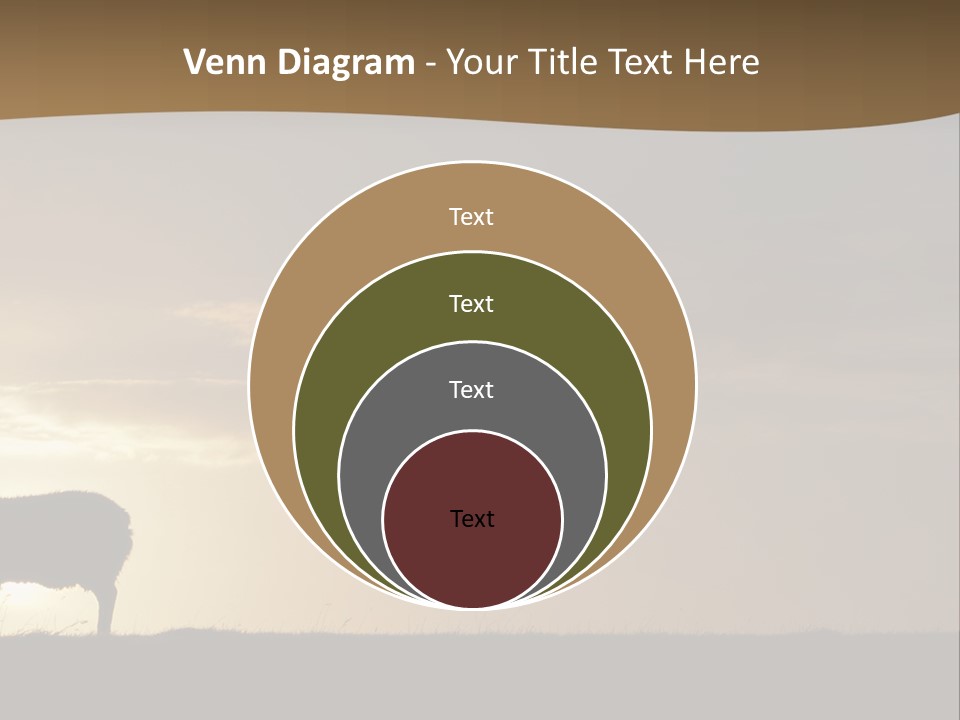 A Group Of Sheep Standing On Top Of A Grass Covered Field PowerPoint Template