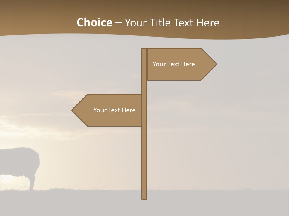 A Group Of Sheep Standing On Top Of A Grass Covered Field PowerPoint Template