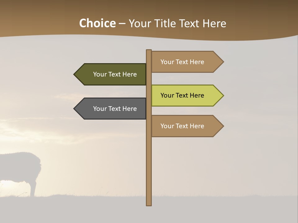 A Group Of Sheep Standing On Top Of A Grass Covered Field PowerPoint Template