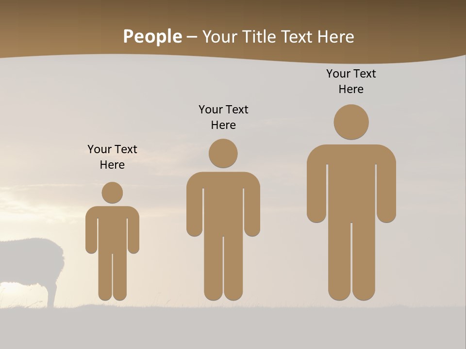 A Group Of Sheep Standing On Top Of A Grass Covered Field PowerPoint Template