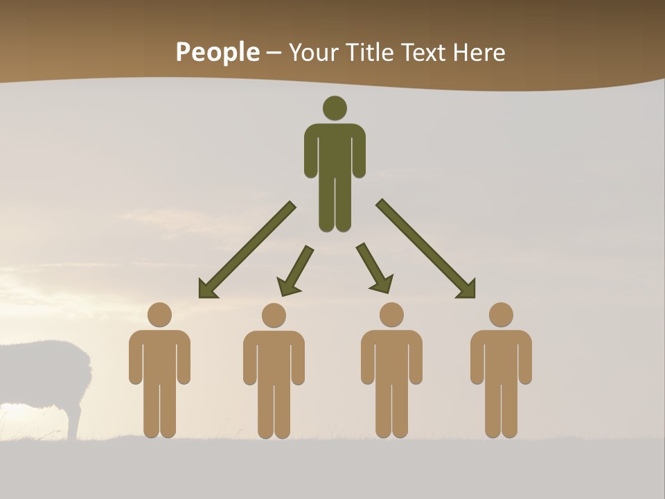 A Group Of Sheep Standing On Top Of A Grass Covered Field PowerPoint Template