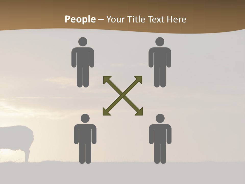 A Group Of Sheep Standing On Top Of A Grass Covered Field PowerPoint Template