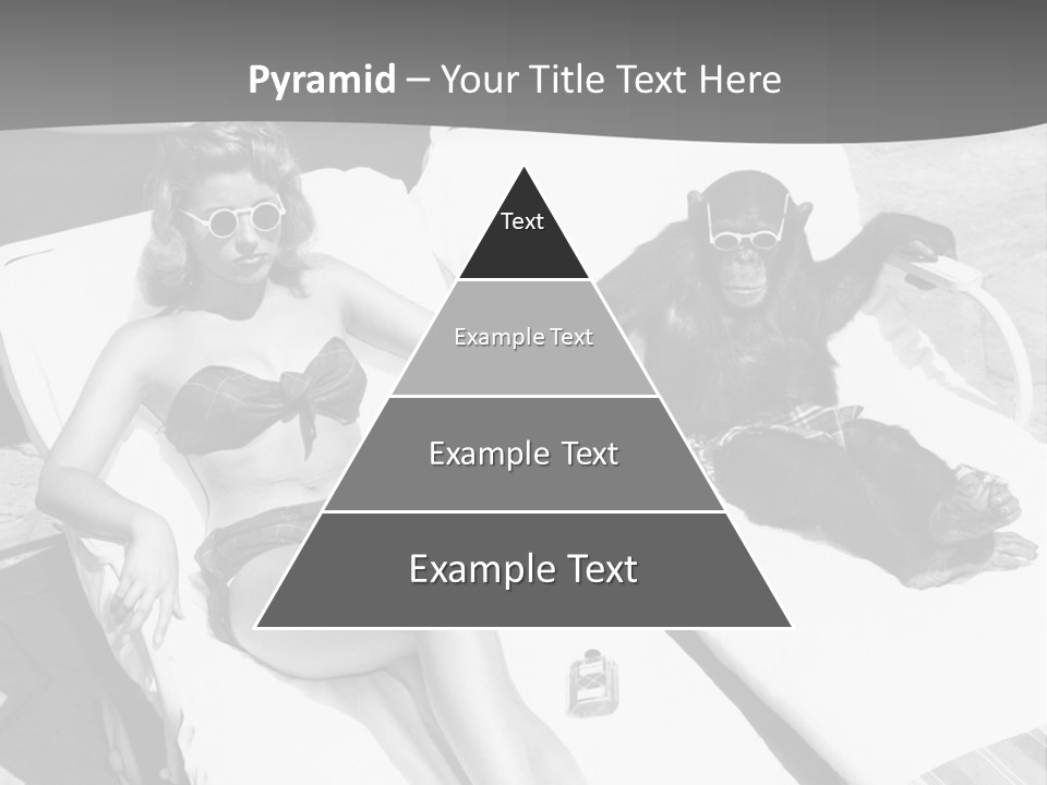 Vacation Sunbathe Sunglasses PowerPoint Template