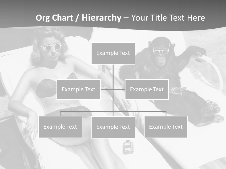 Vacation Sunbathe Sunglasses PowerPoint Template