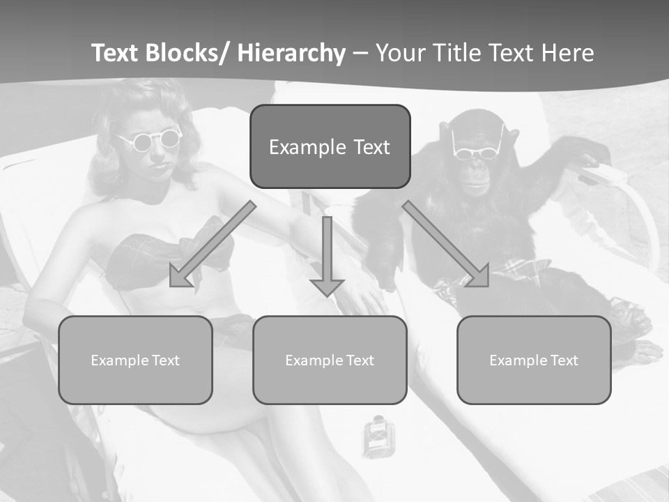 Vacation Sunbathe Sunglasses PowerPoint Template