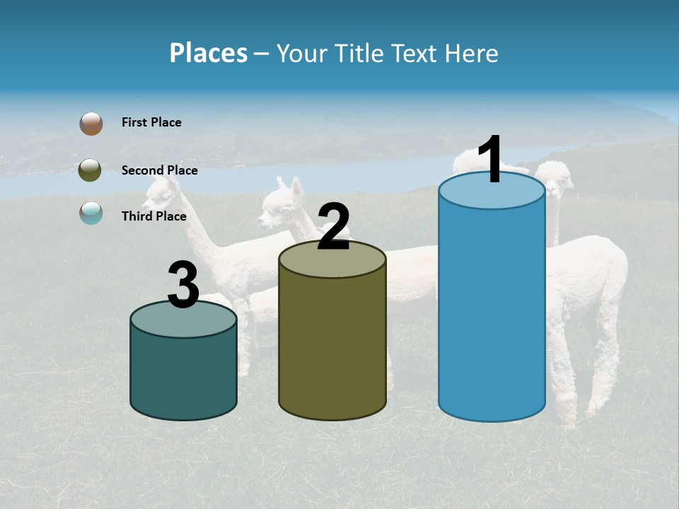 South Farming Lama PowerPoint Template