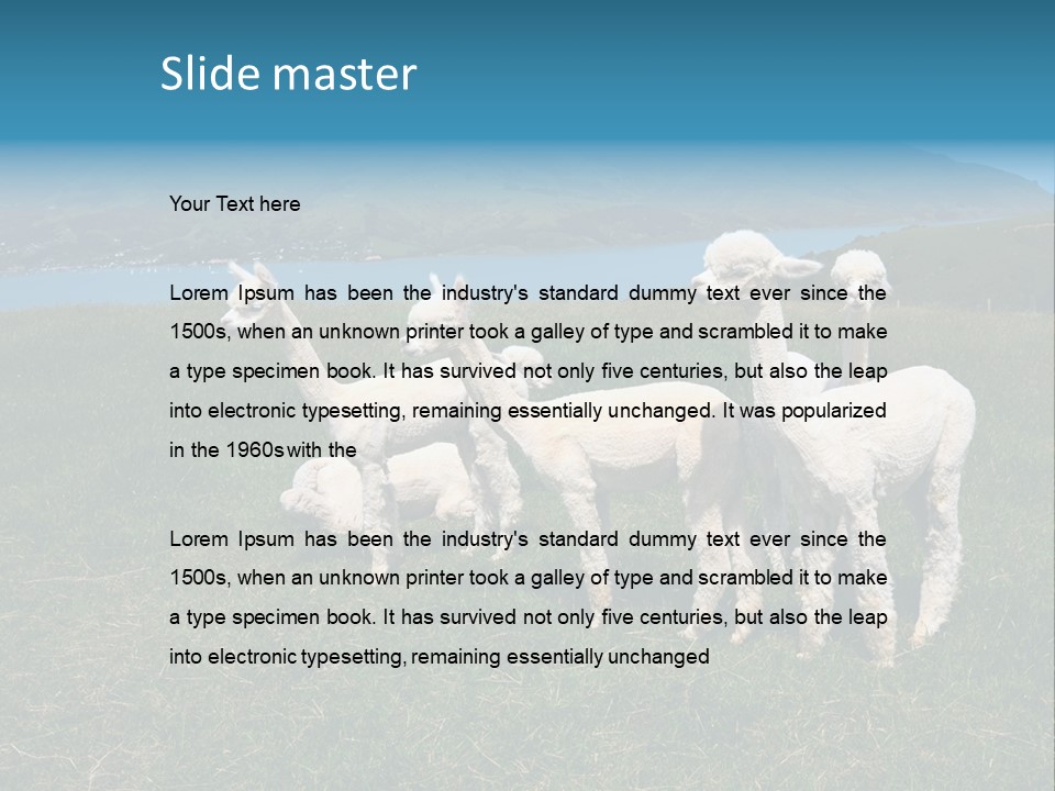 South Farming Lama PowerPoint Template